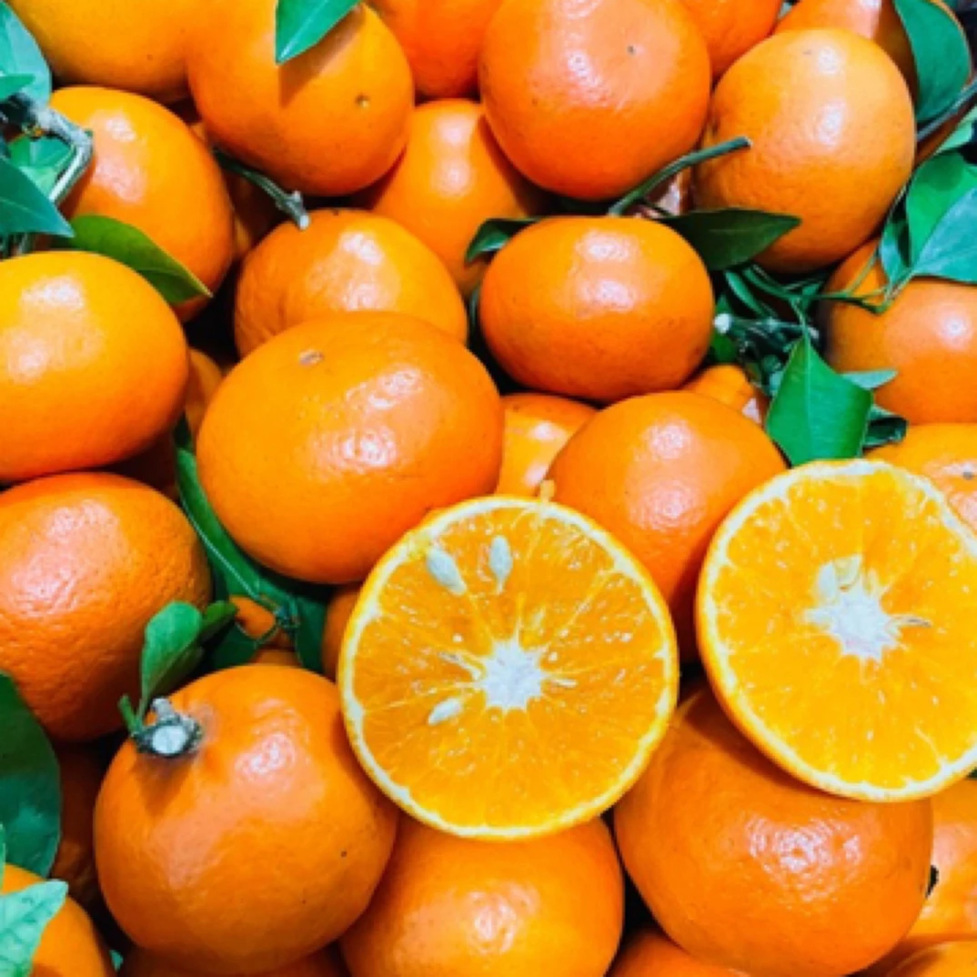 武鸣沃柑一斤精品中大果（满38送货）四川省