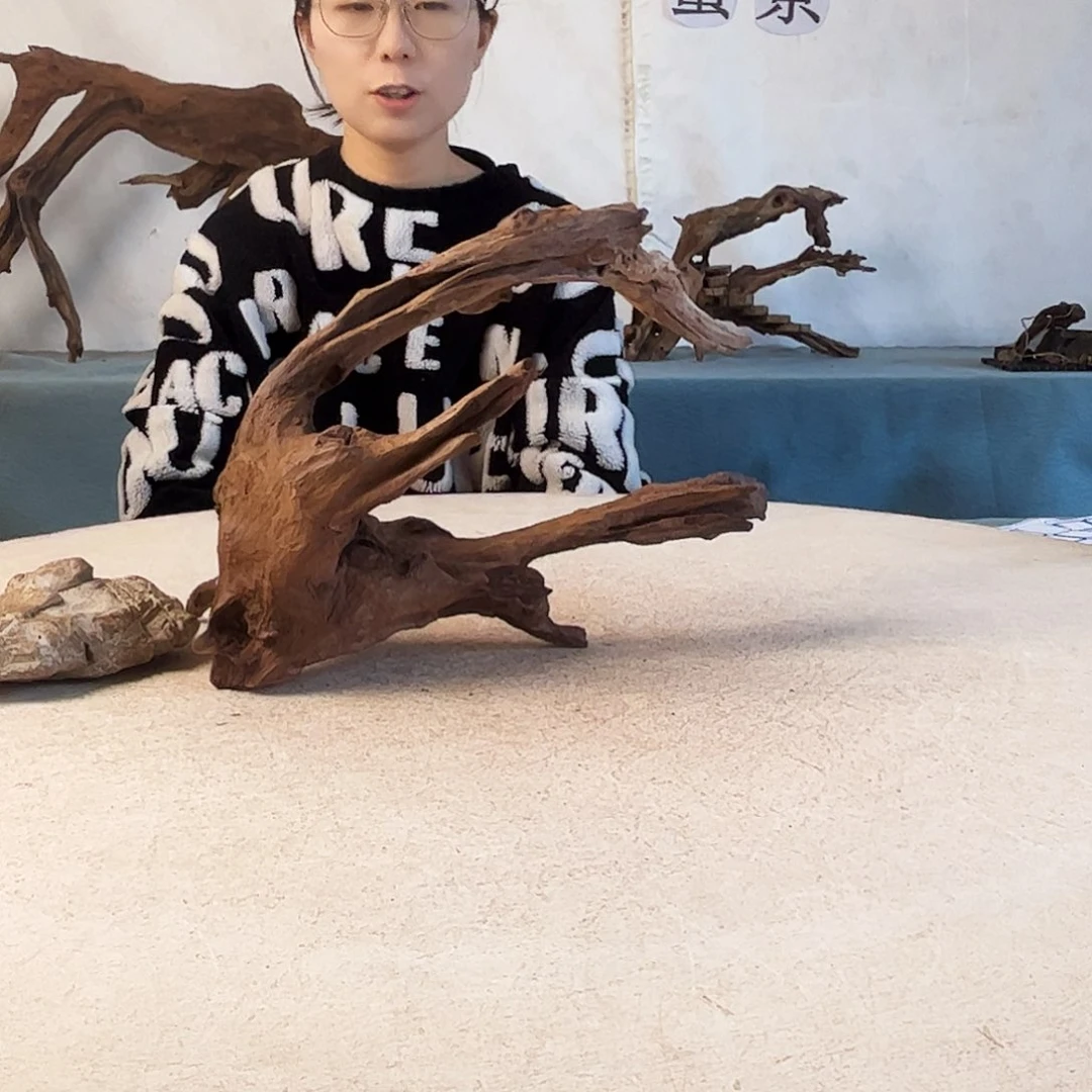 沉木造景爬宠造景