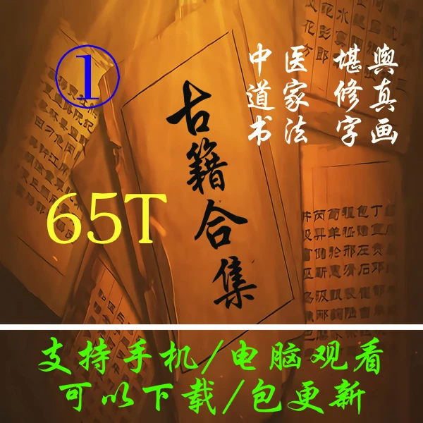 1号-资料打包-65T中医道家易经术类道藏地理善本电子资料合集