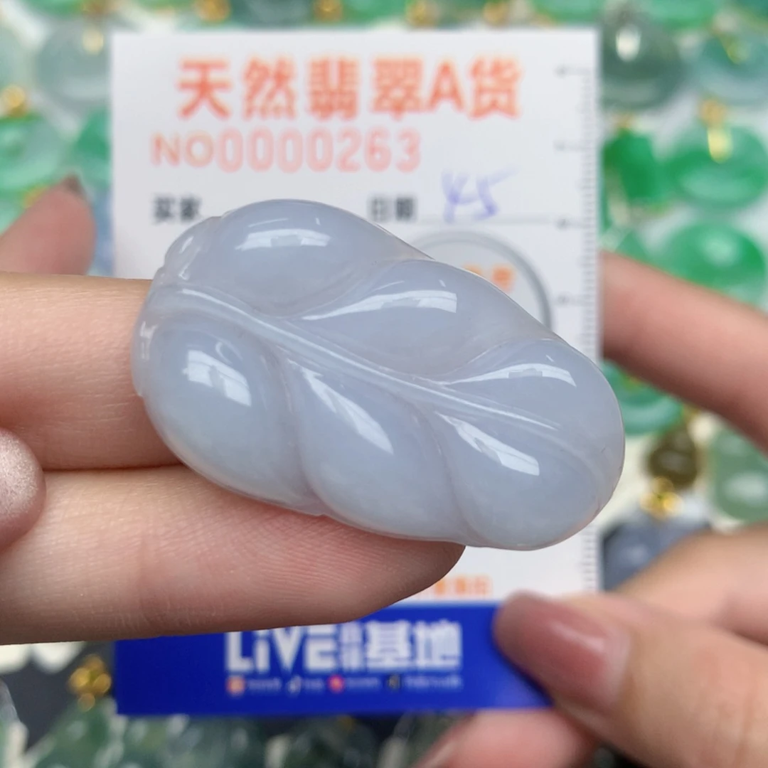 翡翠未镶嵌颈饰叶子