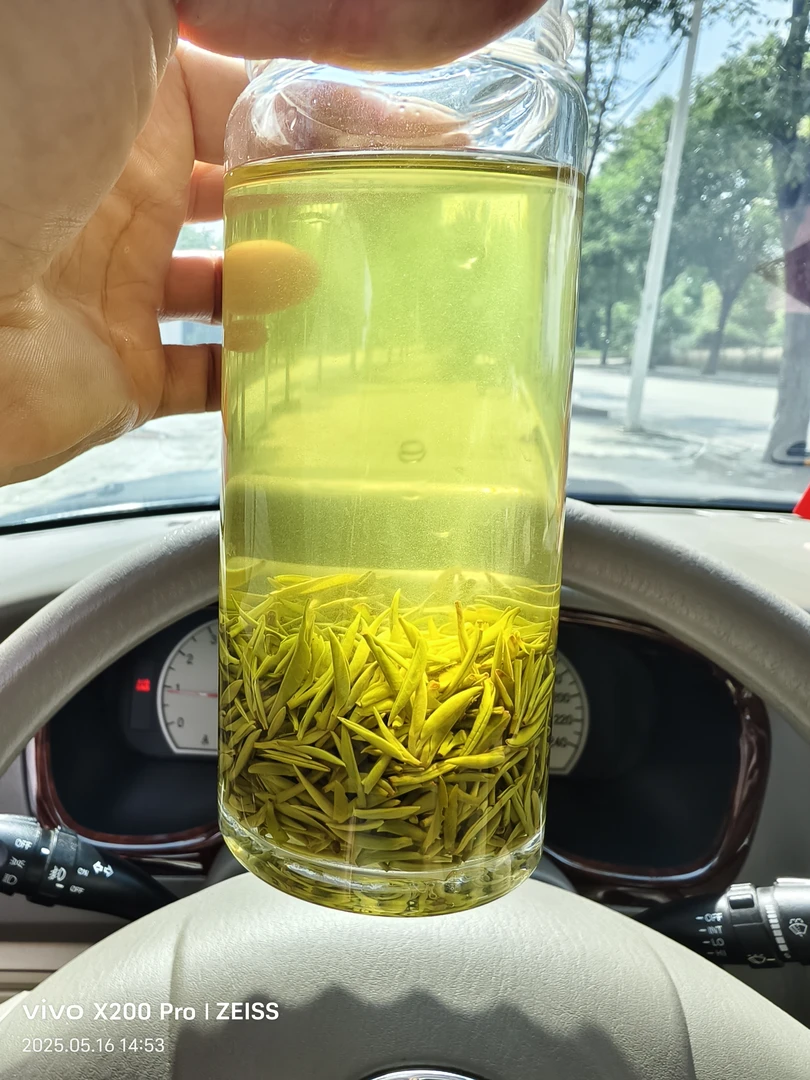 2025信阳毛尖高山老旱茶明前小芽