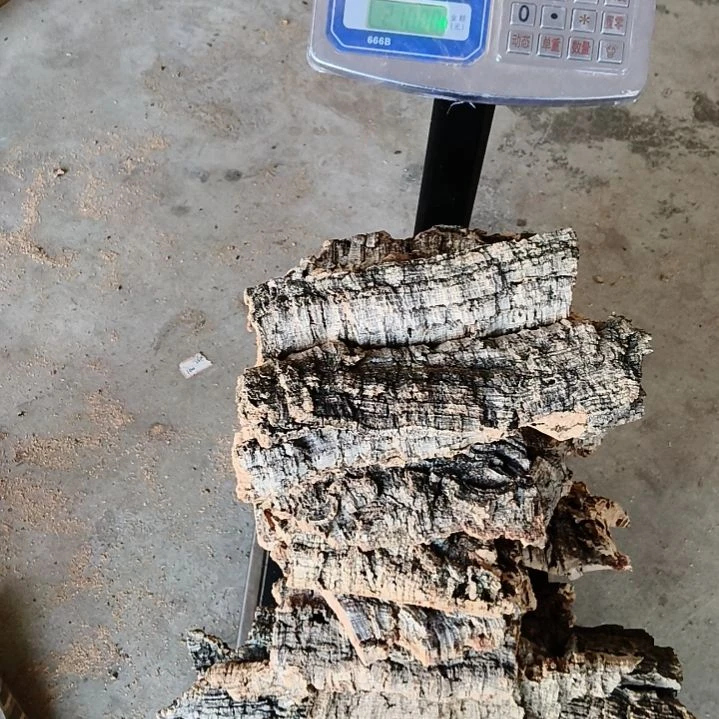 木一物一拍一物一发