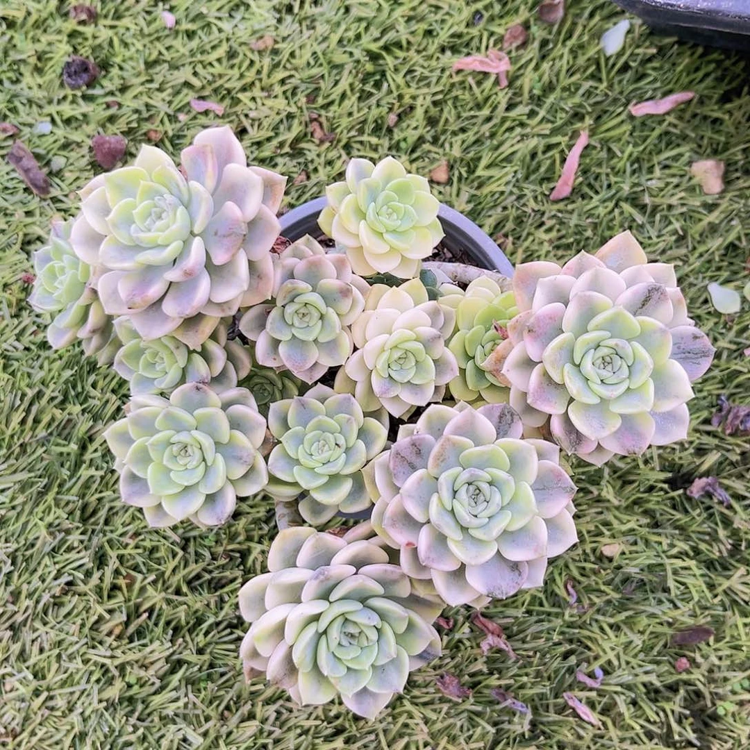 22222222222222222222222222