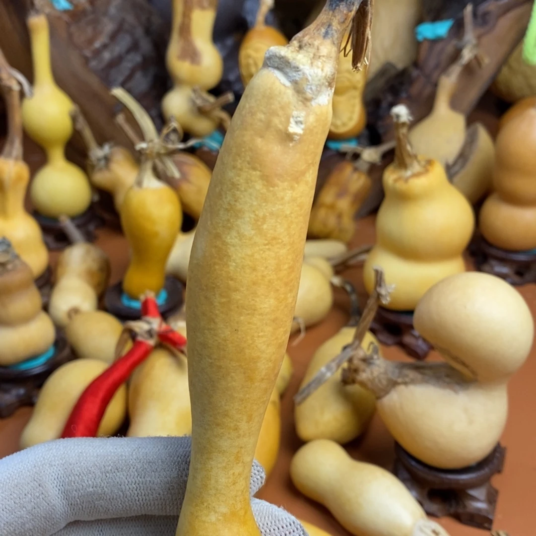红***司教练教练咯教练咯教练咯