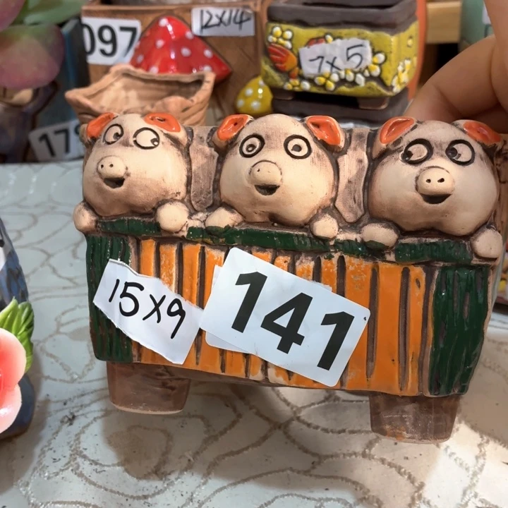 多肉花盆满15包邮