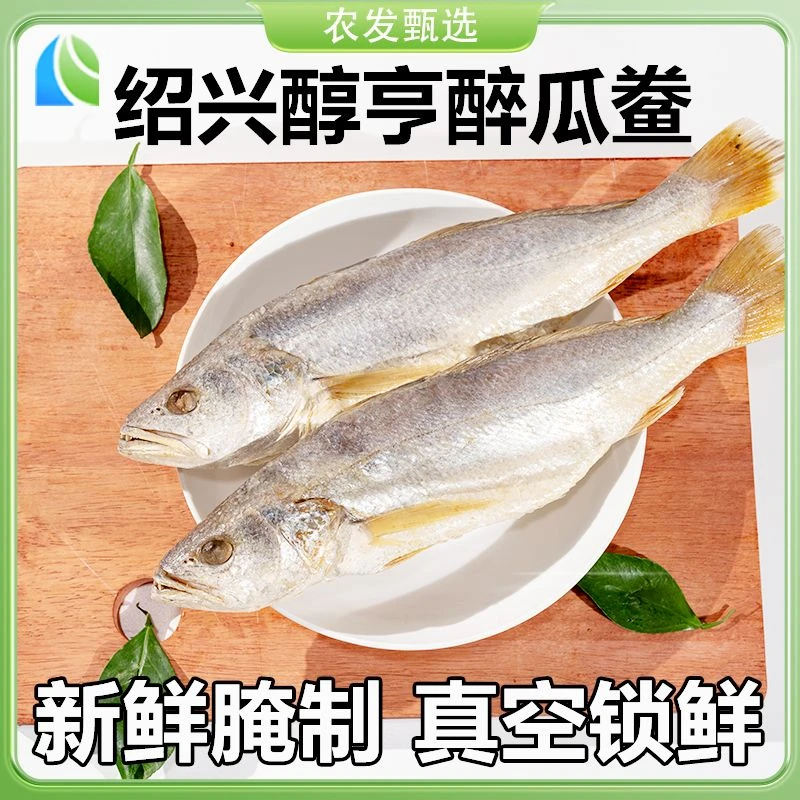 正宗绍兴醉瓜鲞特产农家醉制黄鱼醉瓜鲞肉质红粘筷子发酵300g左右