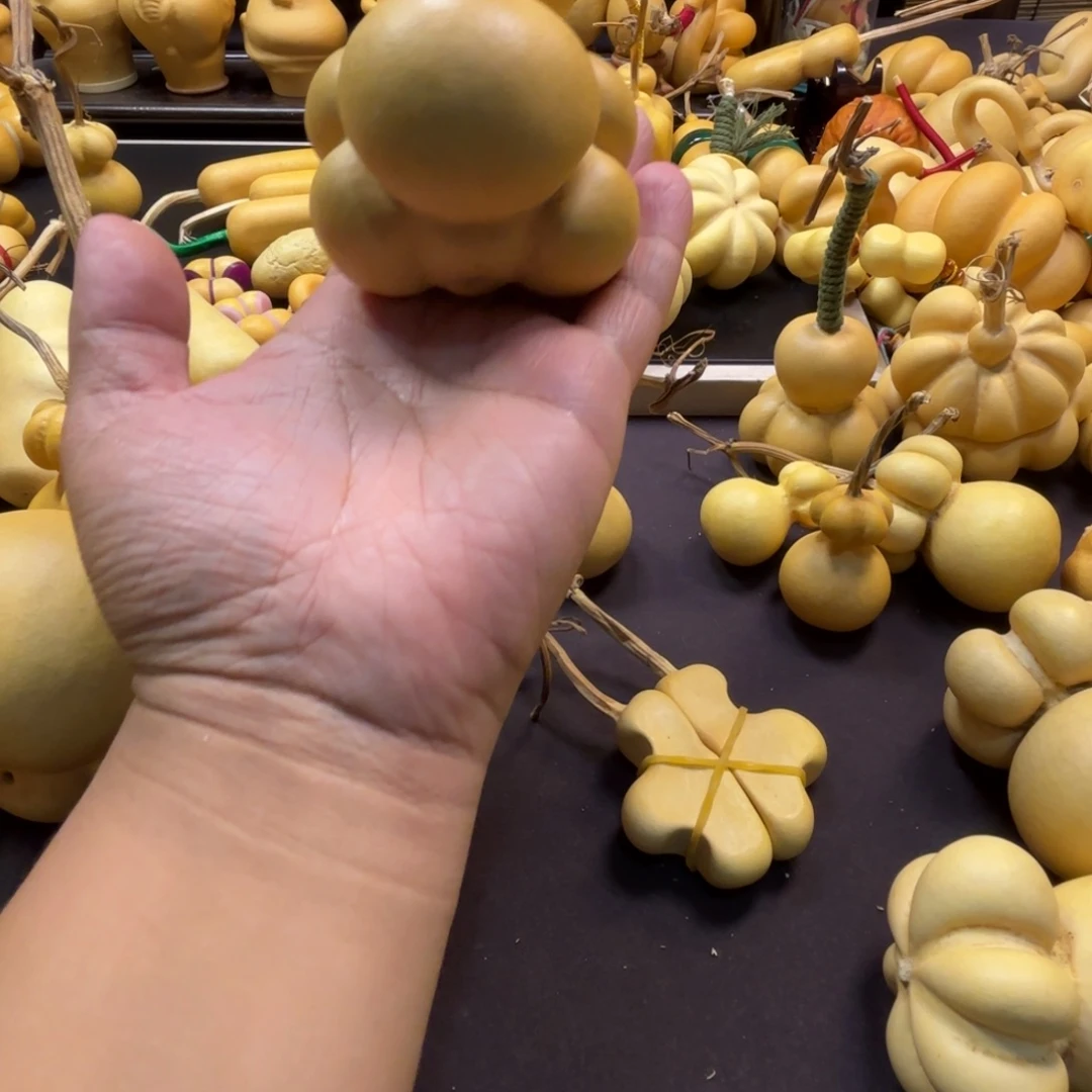 小***汁精品乌龟一把抓一把握