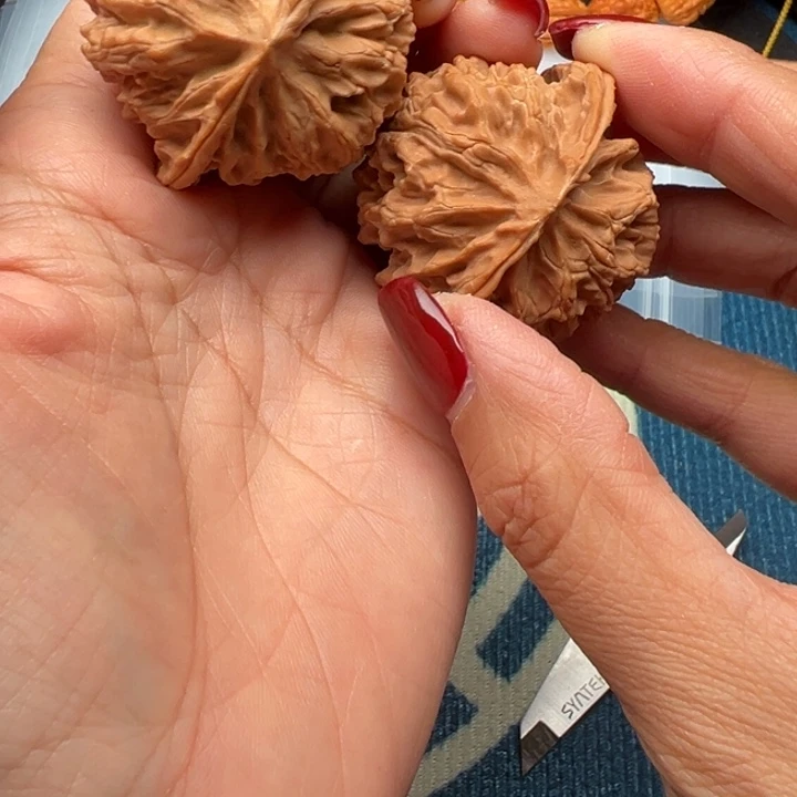 吊坠桃核文玩苹果园42