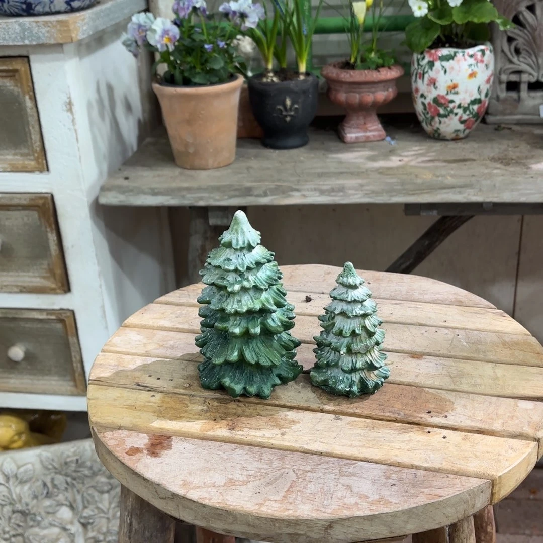 许纯的花房 树一套