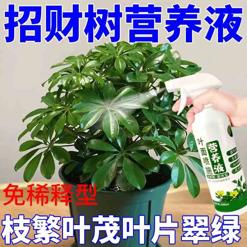 鸭掌木专用肥树营养液去黄叶一喷绿免稀释植物营养液叶面肥