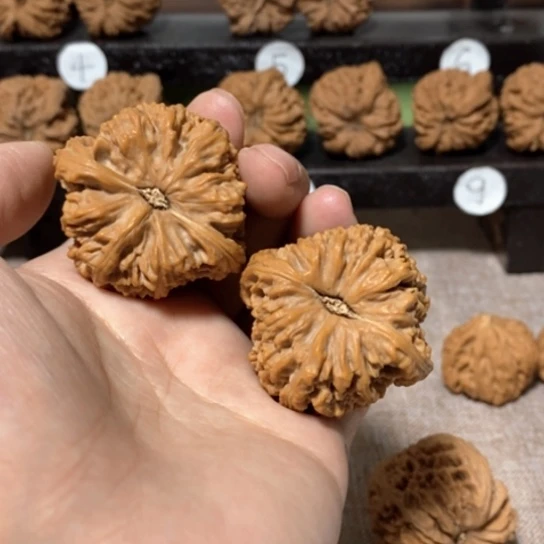 文玩核桃吊坠兴今天