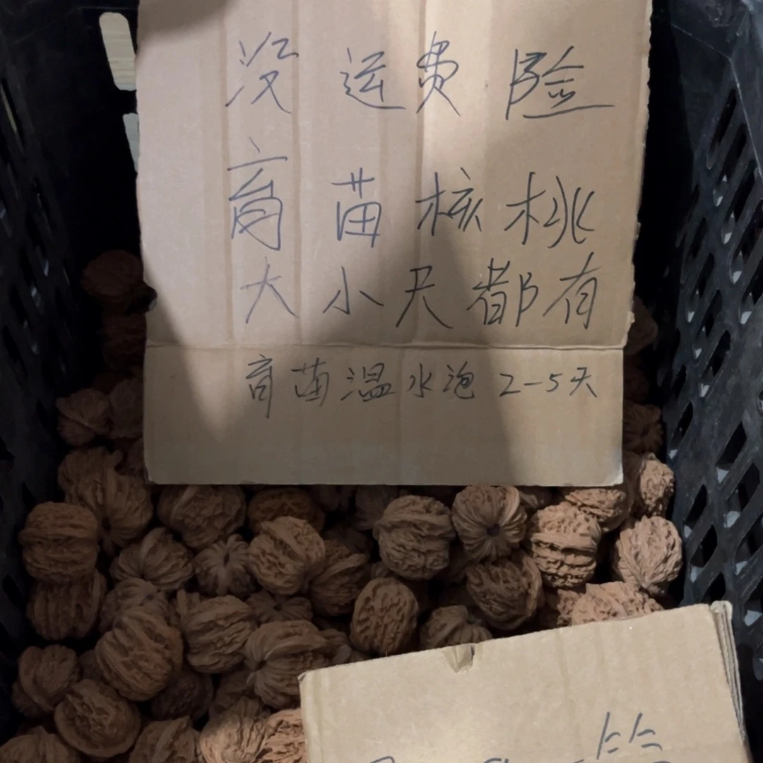 不***心四座楼四座楼四座楼