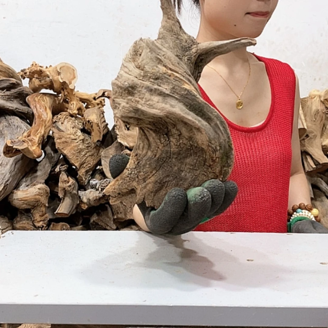 【闪购商品】柏木不****”我们都是好孩子啊