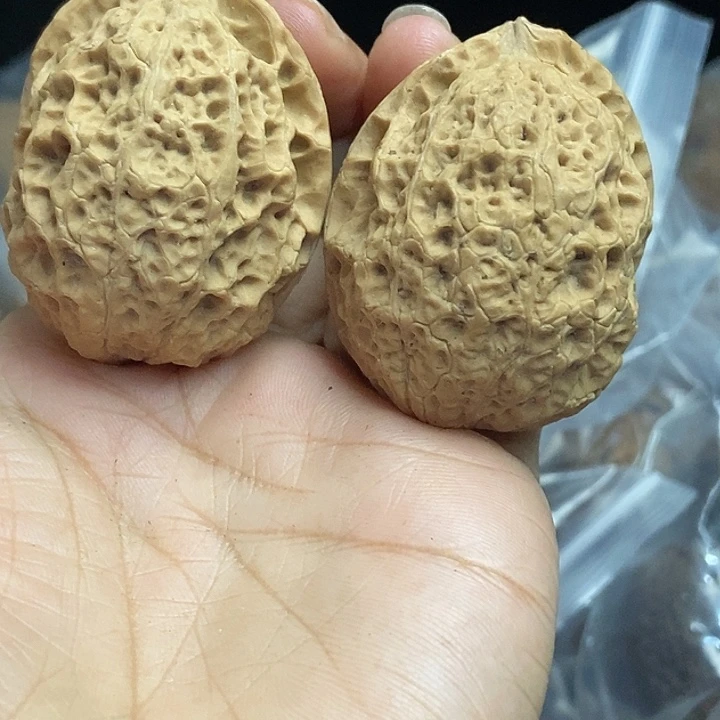 木质类云南铁核桃+75