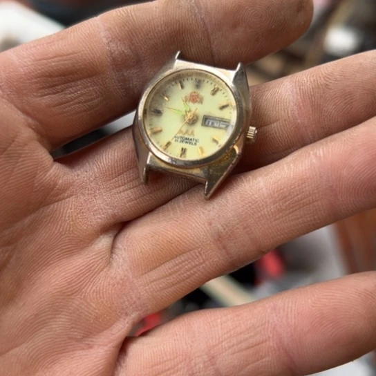 古***！杂色豆（科檀/科特迪瓦檀木）