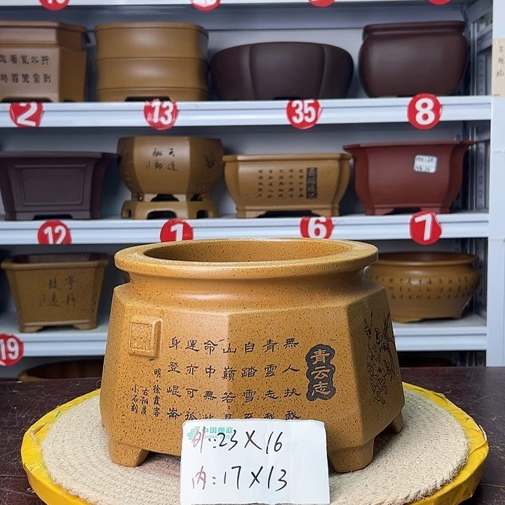 紫砂花盆蛇年大吉