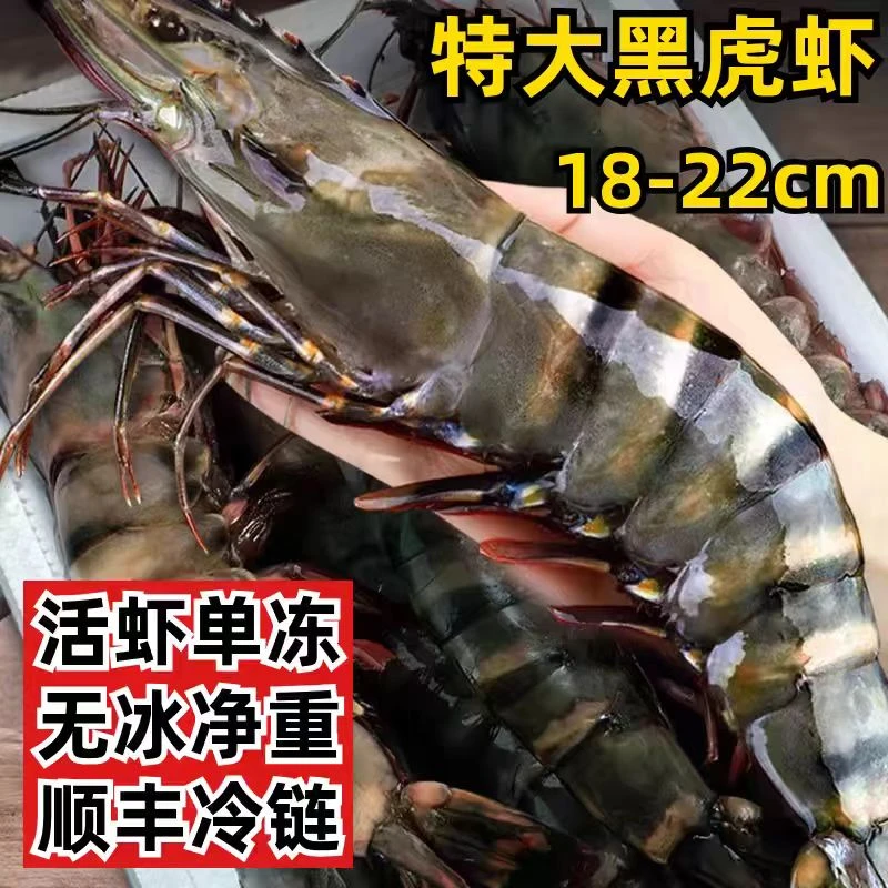 8/12规格特大号黑虎虾斑节对虾老虎虾 鲜活速冻1盒3斤【无冰衣】