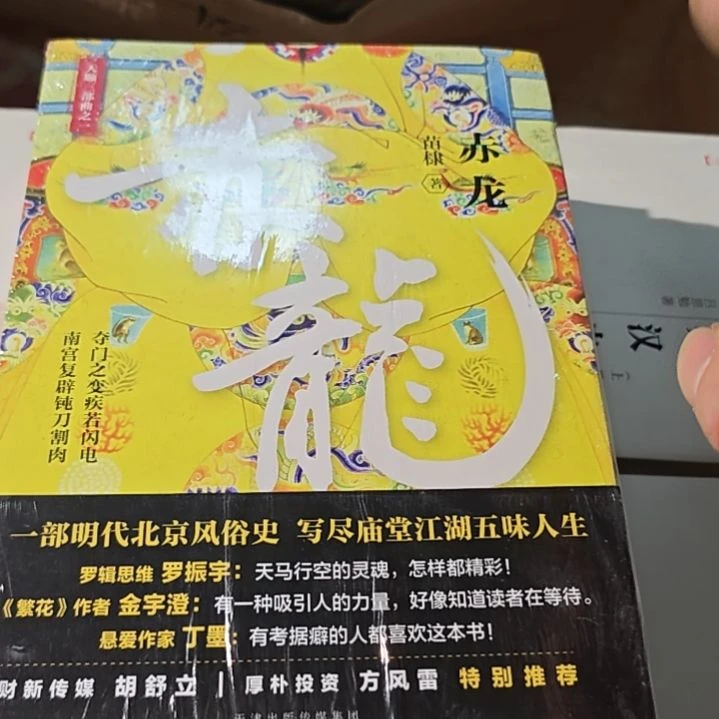 赤龙。南门之变极若闪电这样的一本书，天津科技出版社天津出版传媒