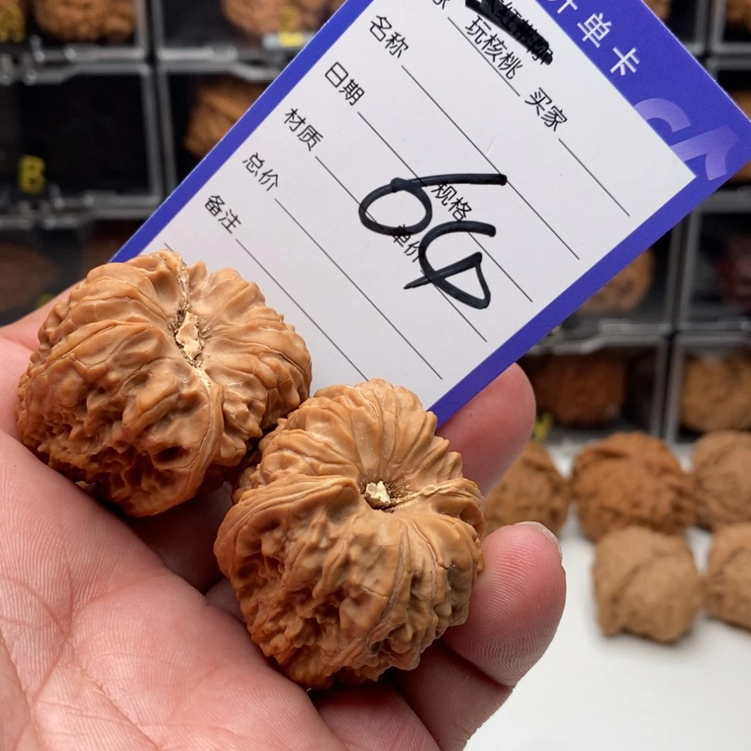 Z**X福利大礼包一个哦小