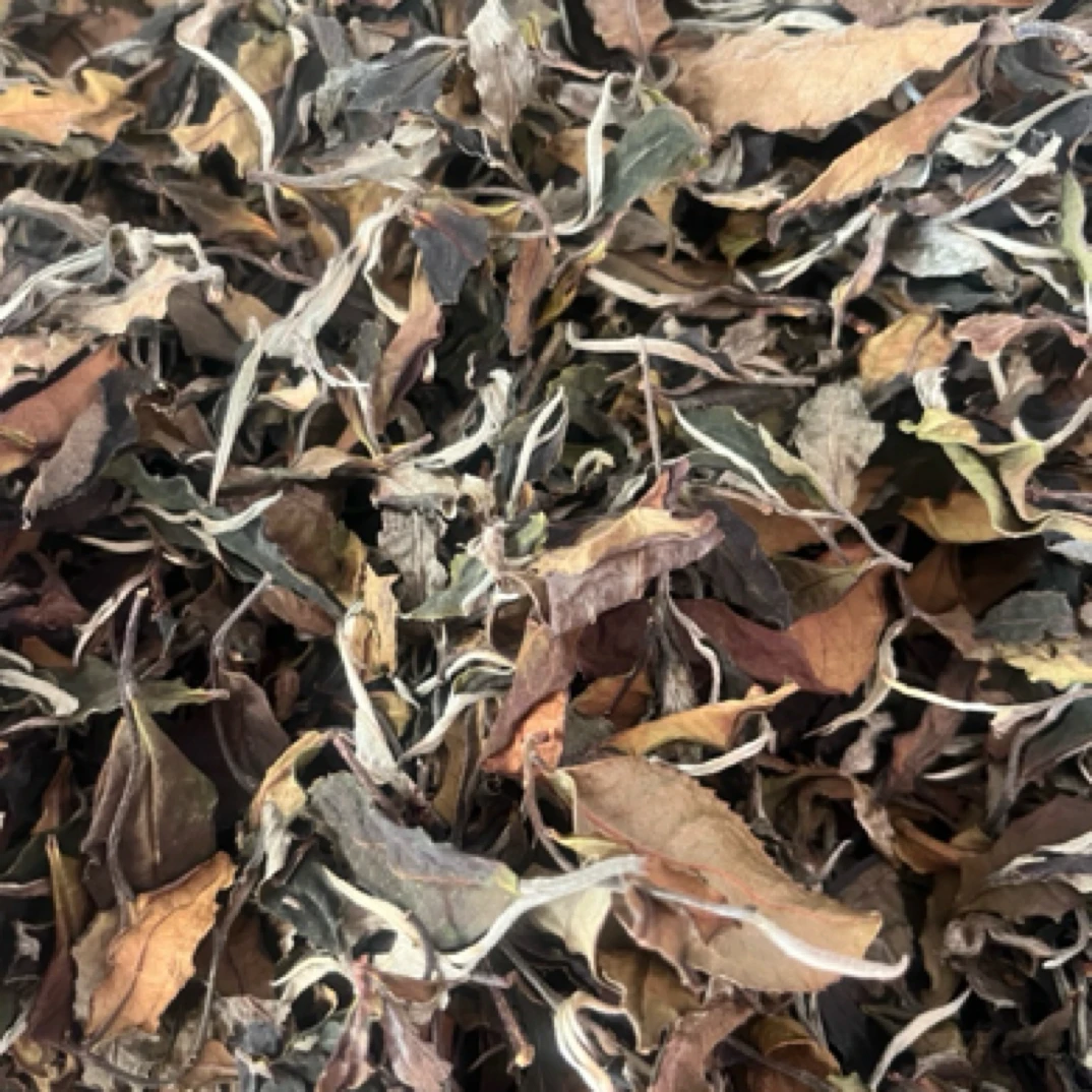 2025年云南古树白茶春尾月光白200g散茶