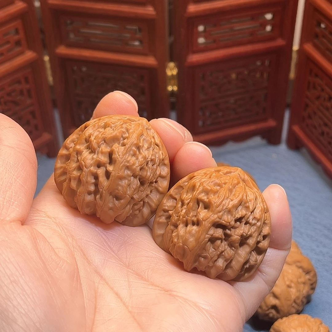 37三角白……小精对