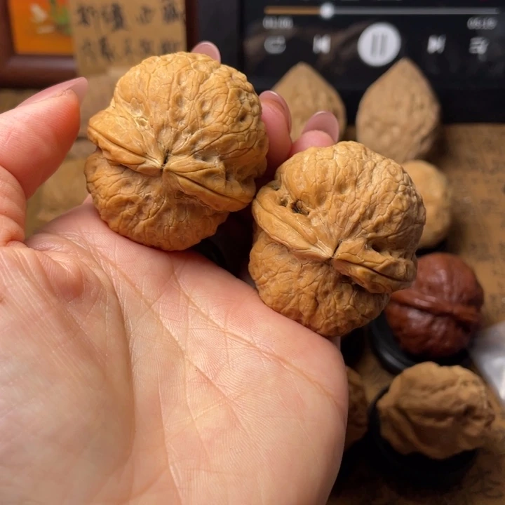 心***大如图所示一物一拍91