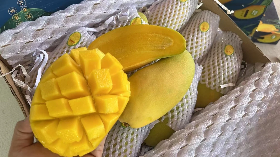 【京东包邮】海南空运金煌芒礼盒净重4公斤