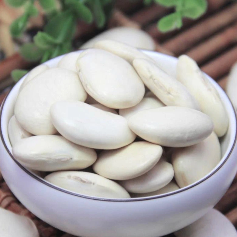 大白芸豆新货尝鲜 京豆大白豆大雪豆云南土特产