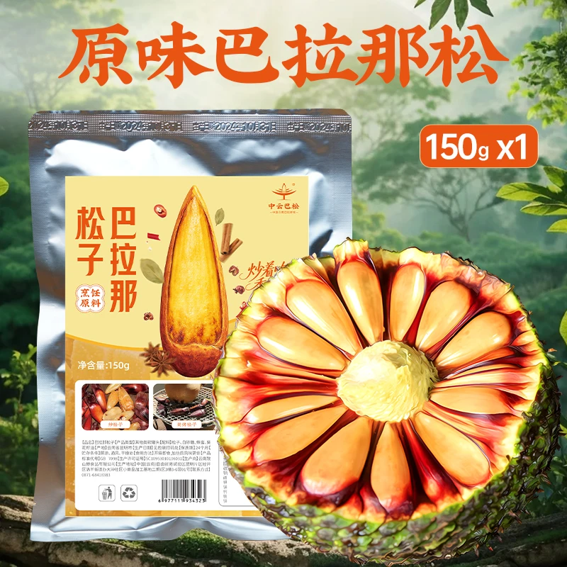 云南拇指大松子巴拉那松松子 巴拉那松不含油像板栗软糯150g/袋