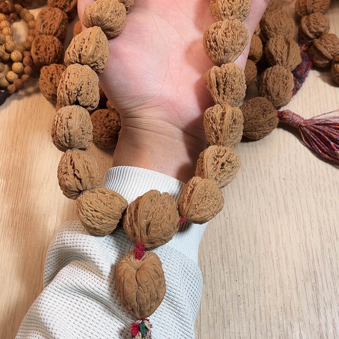 用****926南疆一道筋18+2