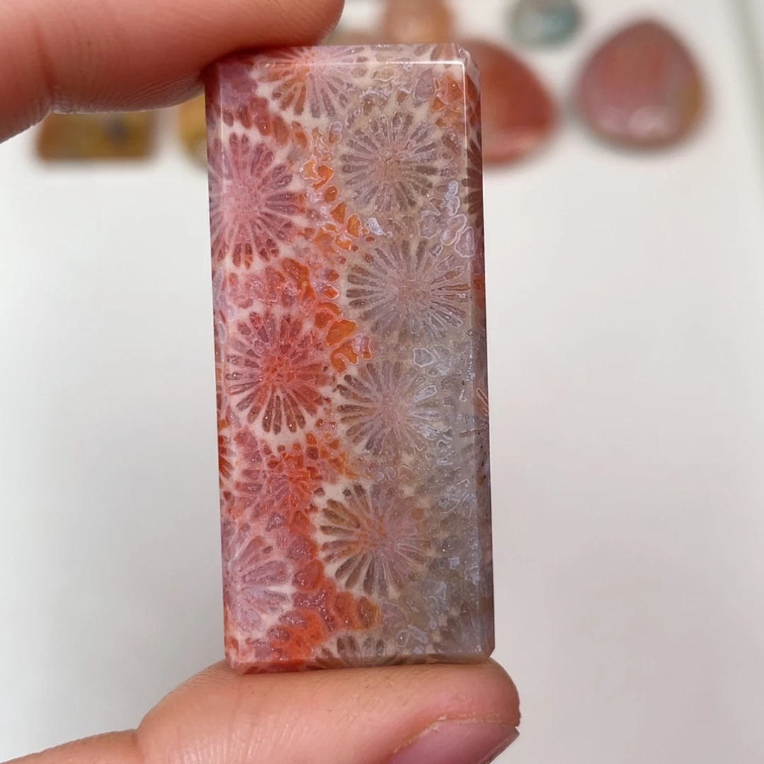 【闪购商品】未镶嵌吊坠(赠链)硅化玉