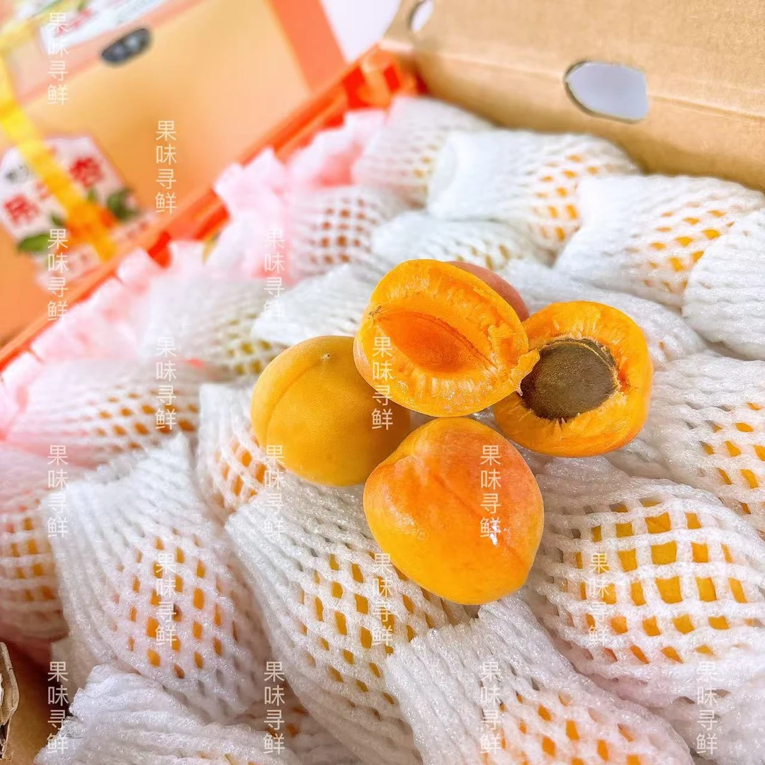 遇见 周牌 新疆吊杆杏 净重2.9斤左右  收到请及时冷藏储存