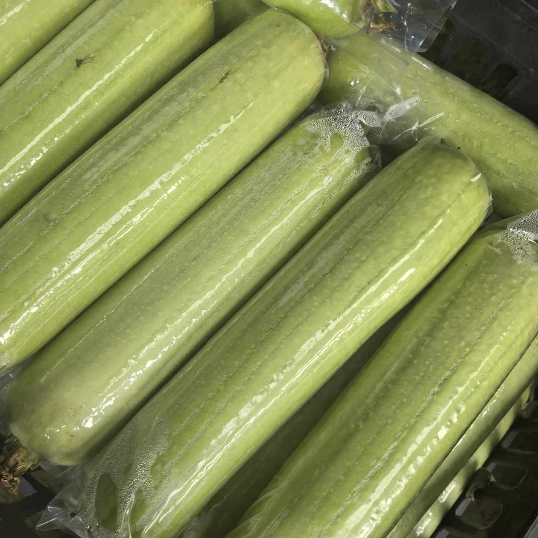 恩施白玉丝瓜蔬菜现摘现发