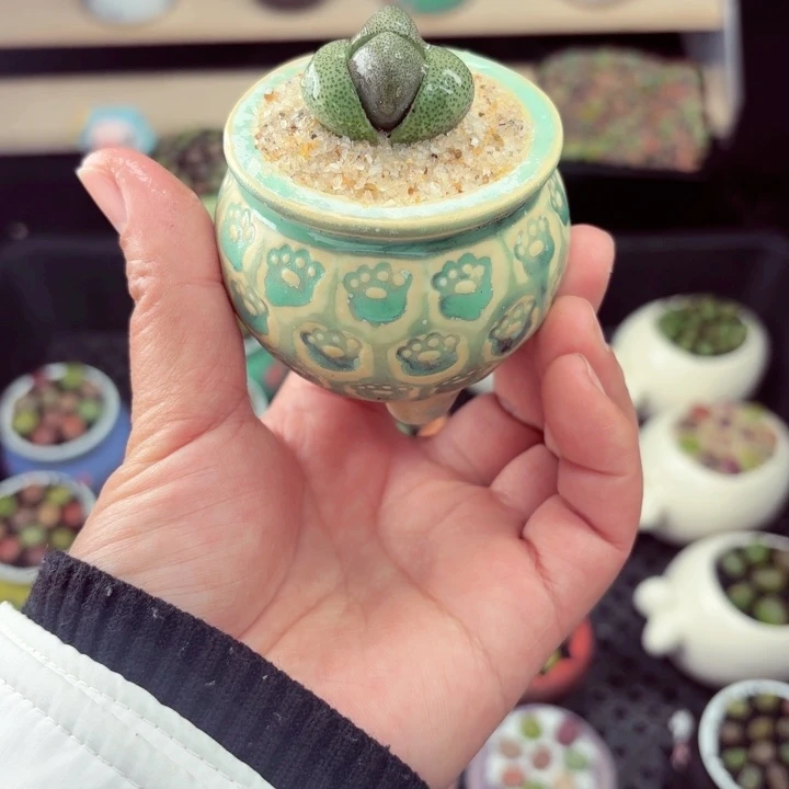 554零下地区记得拍保温箱满18包邮