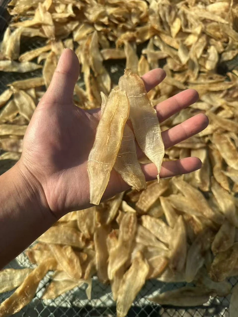 金龙鱼胶（一斤90头左右）滋补养生炖汤花胶干货厚肉胶原