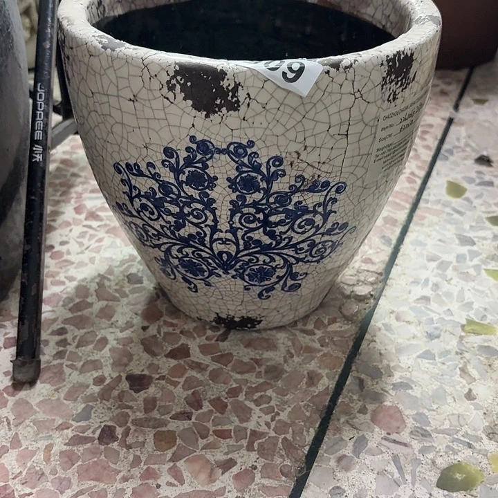 许纯的花房 孤品 605