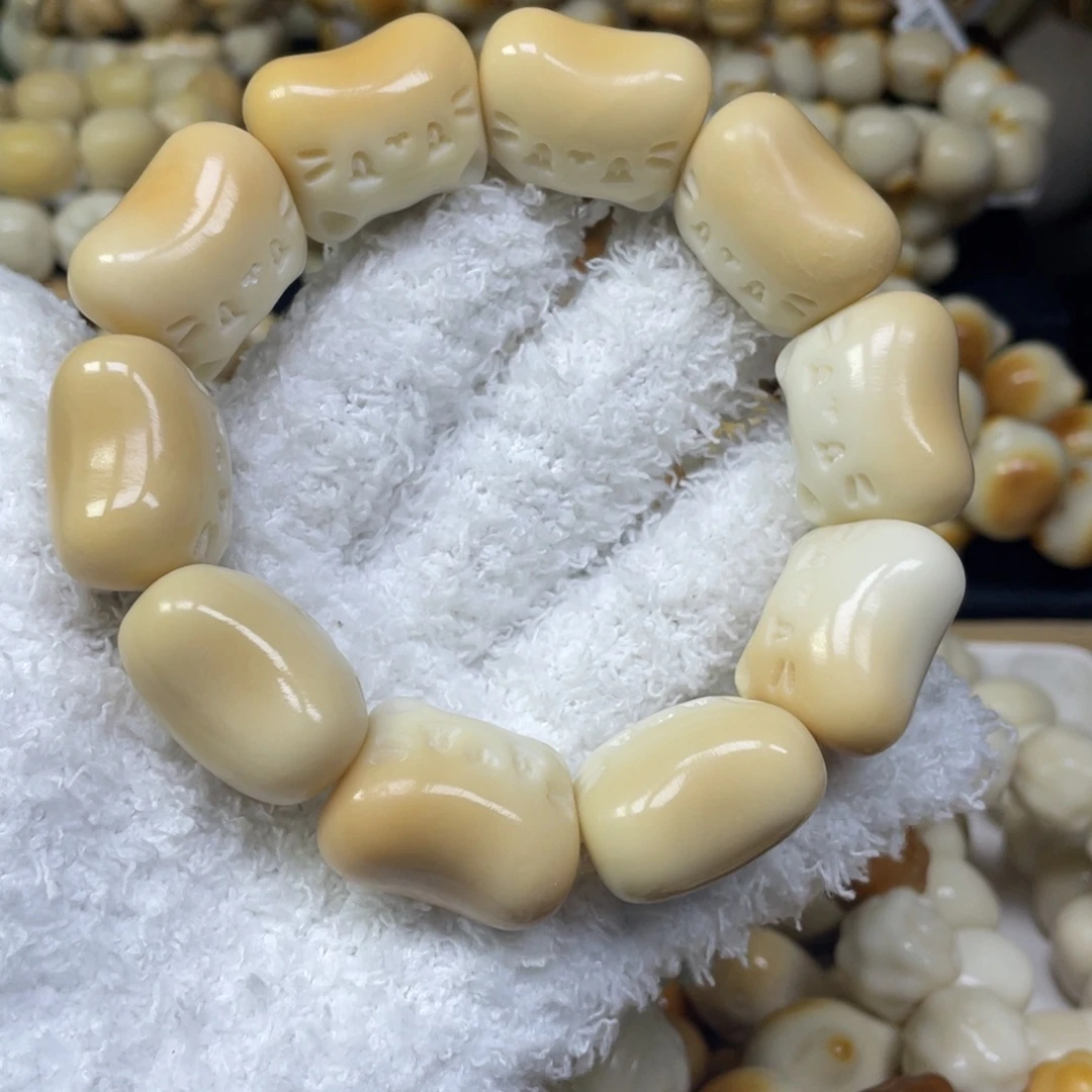 手串菩提根/象牙果11.26.15瑕呆猫