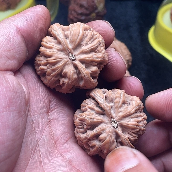 一***ༀ吊坠文玩核桃大粗筋