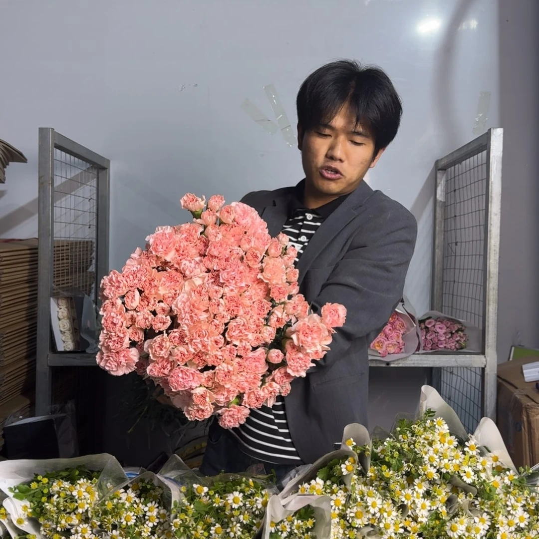 流光粉康乃馨1捆。300支。