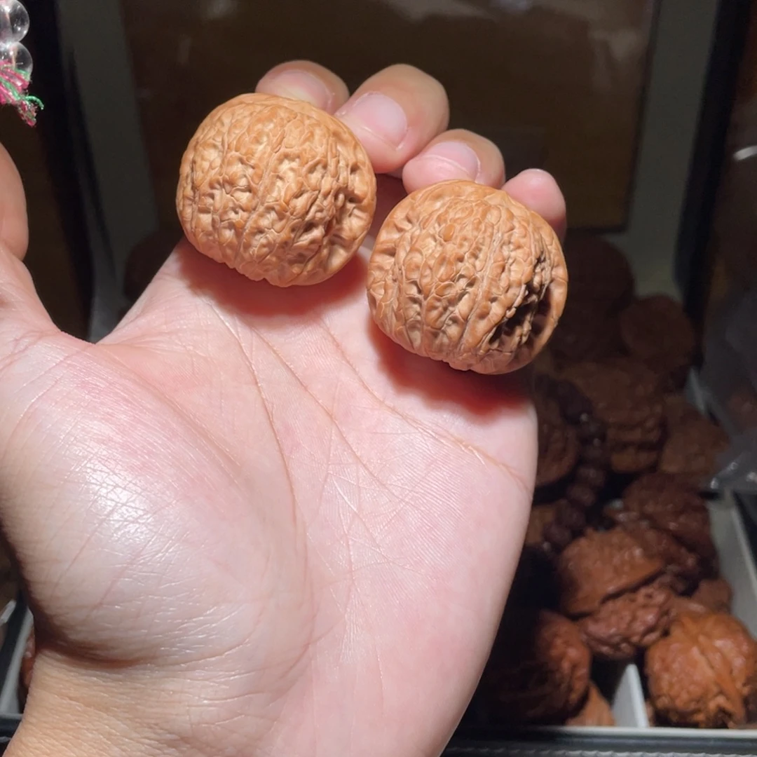 三***壹37尺寸全品无修血麒麟