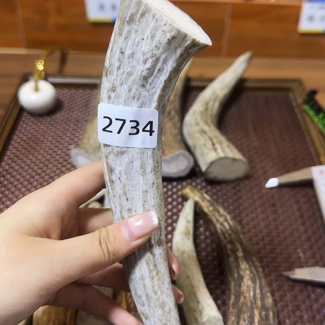 手串/手链鹿骨角尖2735