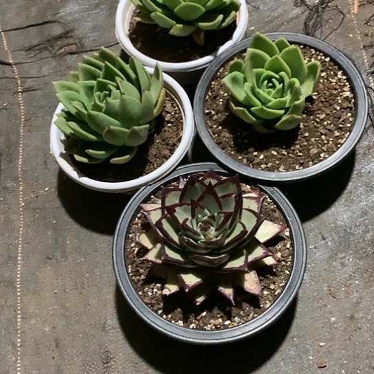 电*大每周特价活动开始啦