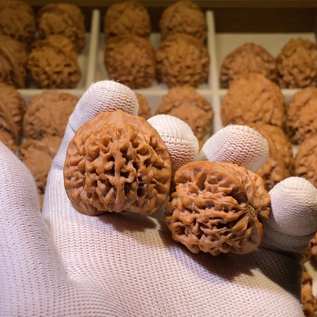 P***y秦闷狮子头34尺寸