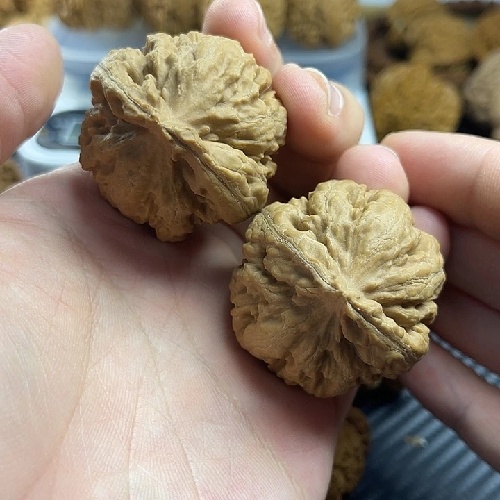 把件文玩核桃41全品霸王龙