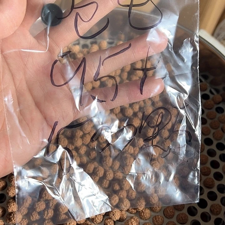 金刚菩提手串卷*500颗