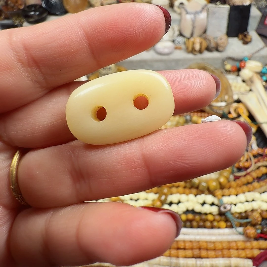 牛骨其他000000000210