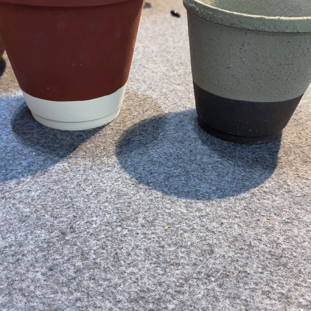 一物一拍喜欢就拍