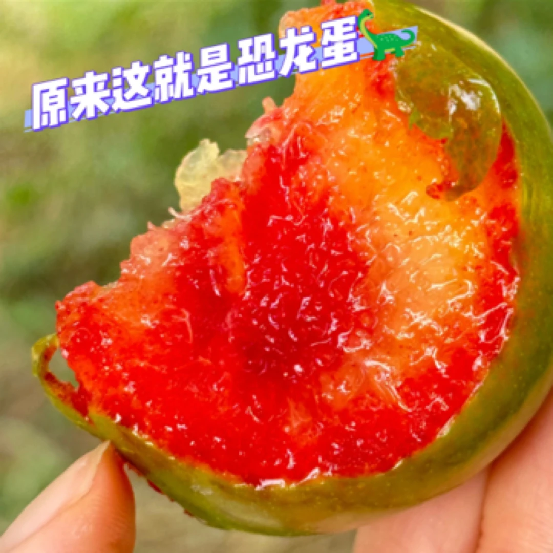 【喜甜明日达】新疆喀什恐龙蛋核小肉超厚红心好吃汁水多酸甜1/2kg新疆维吾尔自治区