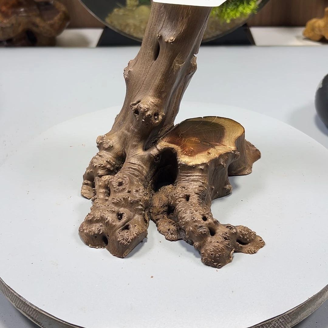 大果紫檀（缅甸花梨）江****