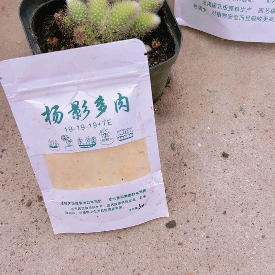 【闪购商品】实验包2包